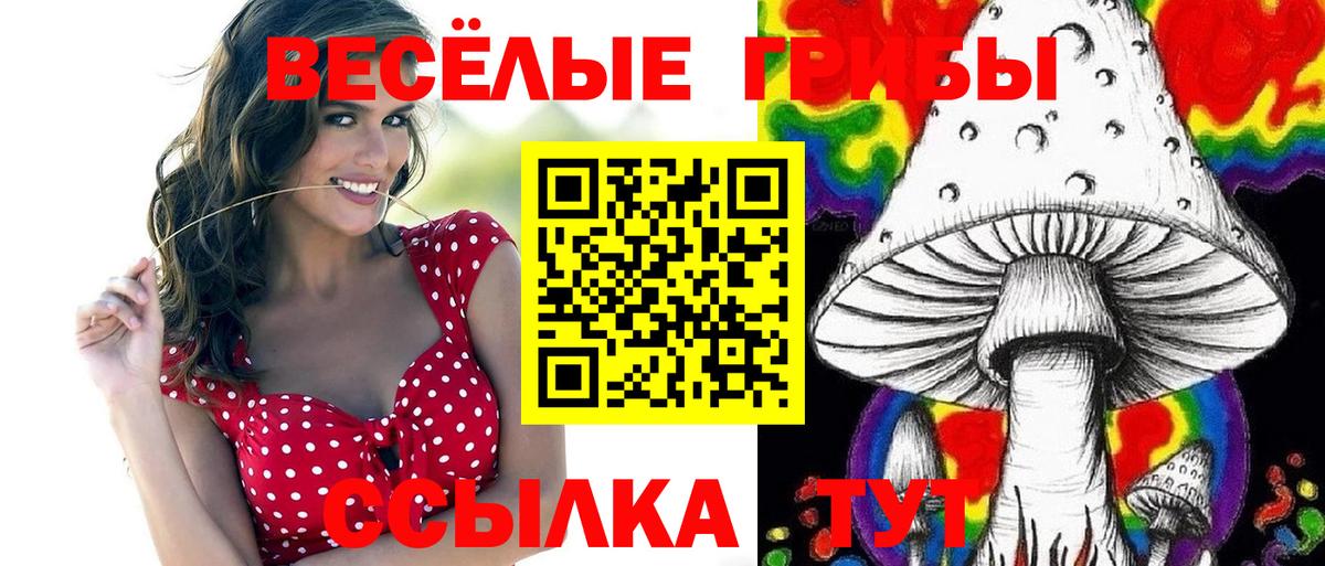 Галлюциногенные грибы GOLDEN TEACHER Карасук