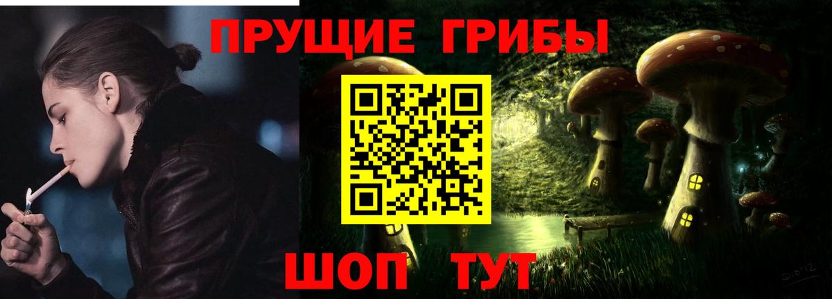 Галлюциногенные грибы MAGIC MUSHROOMS  Вход с VPN  Карасук  закладки  Галлюциногенные грибы мухоморы 