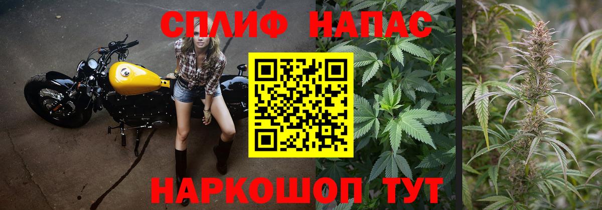 Конопля планчик Карасук
